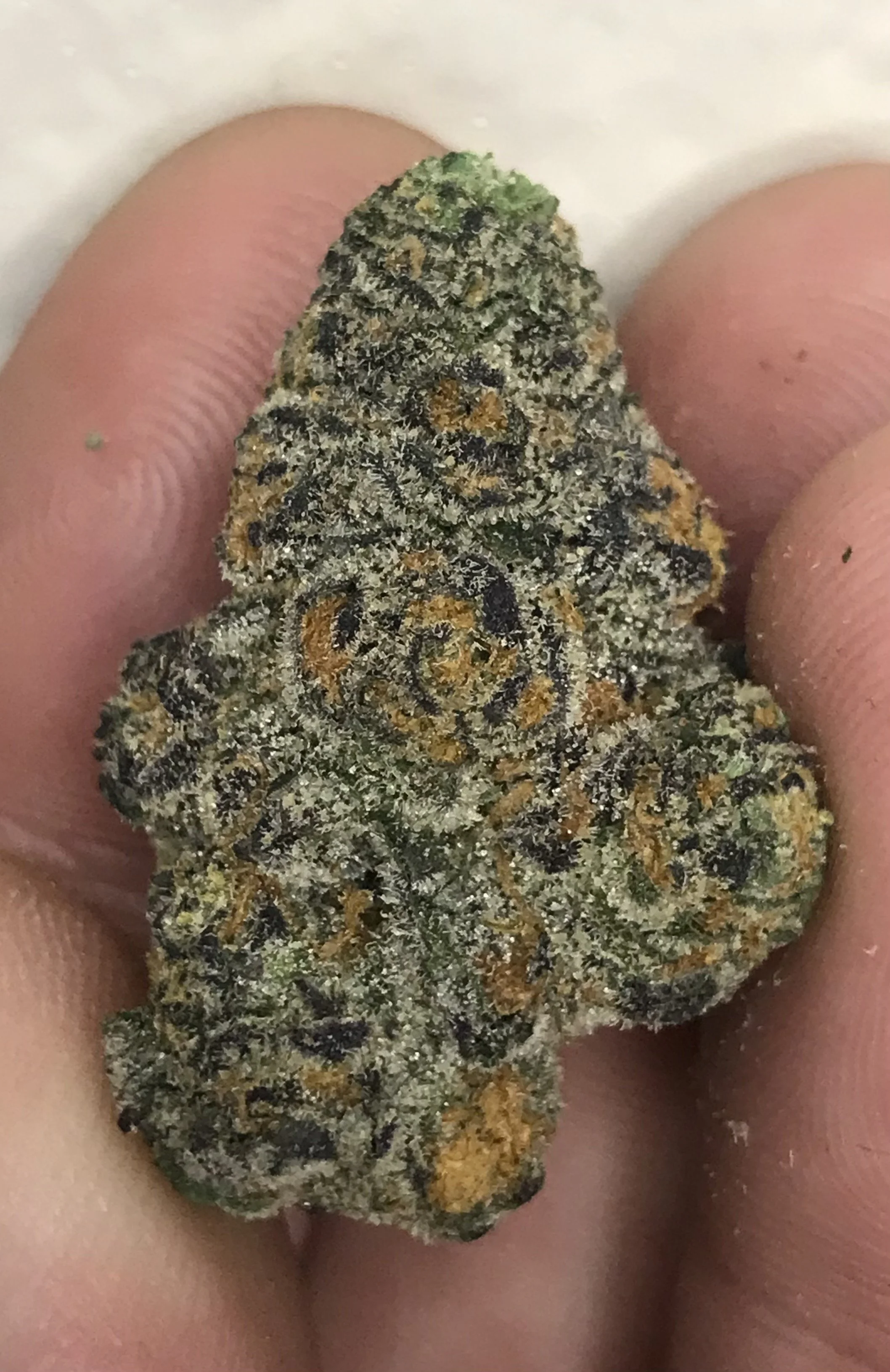 Dosi