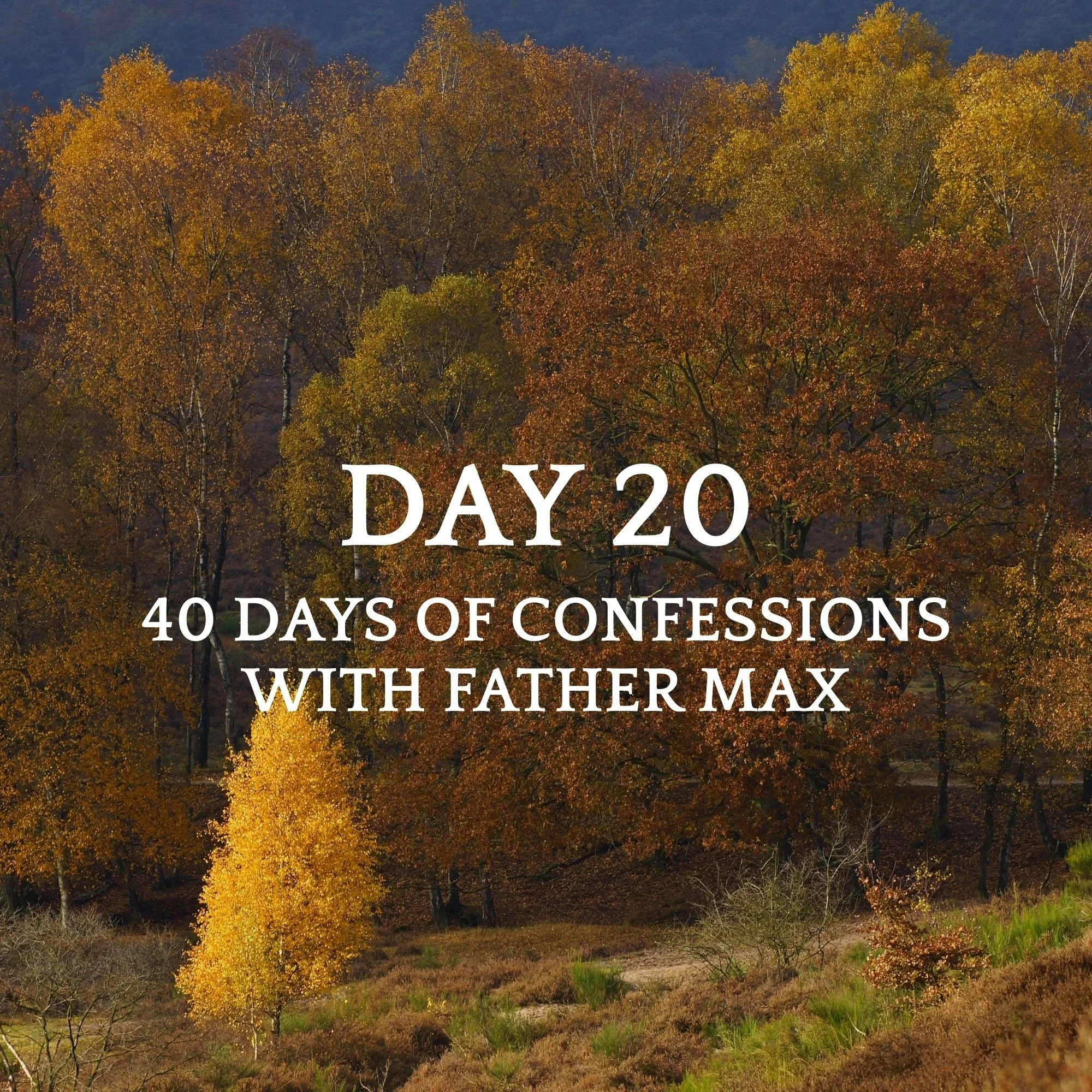 DAY 20 - ST. MONICA - A MOTHER’S DREAM