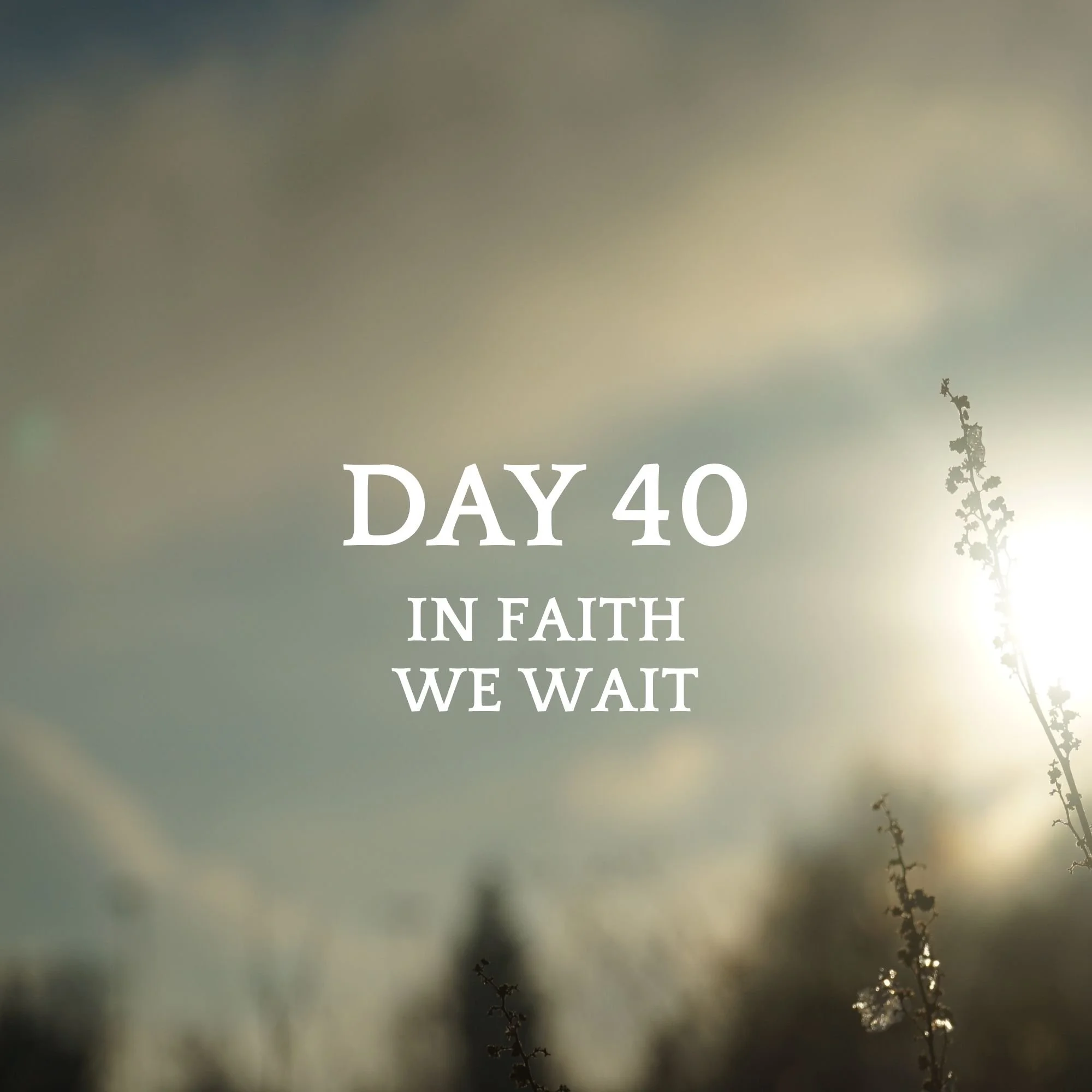 DAY 40 - WE WAIT IN FAITH - A NEW JOURNEY BEGINS