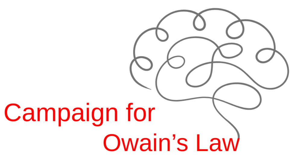 Campaign for Owain's Law
