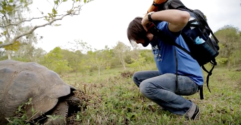 dir arte_cnt_ecuador.png