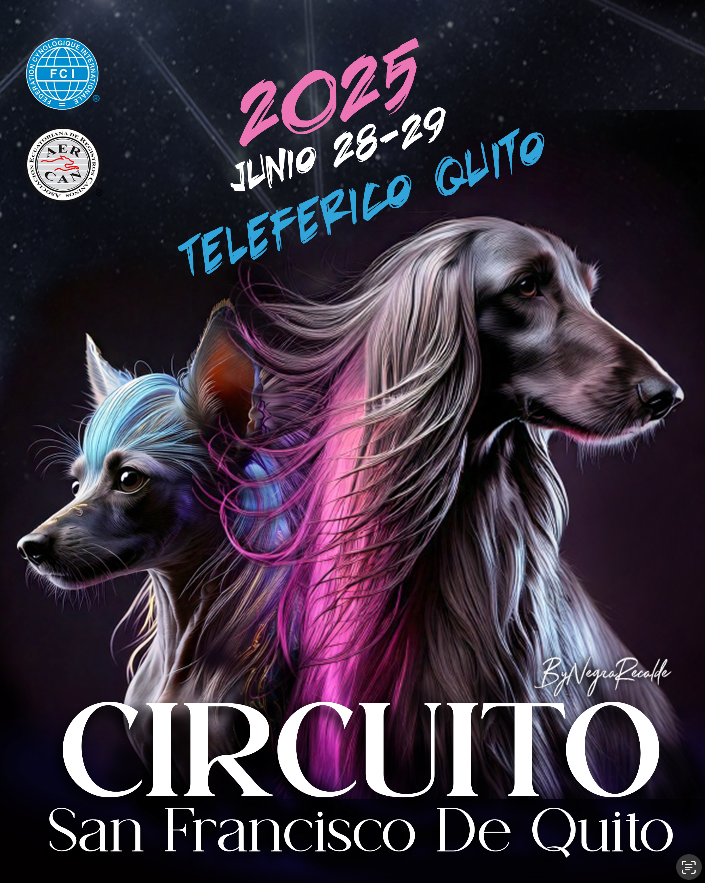 Captura de pantalla 2026-01-15 a la(s) 14.13.15.png