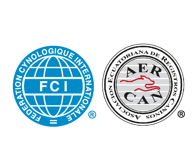 Diseño de ADS para eventos en redes sociales. 2018 - 2025