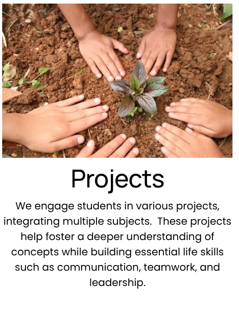 Children's hands around a small plant in soil, symbolizing growth and nurturing.