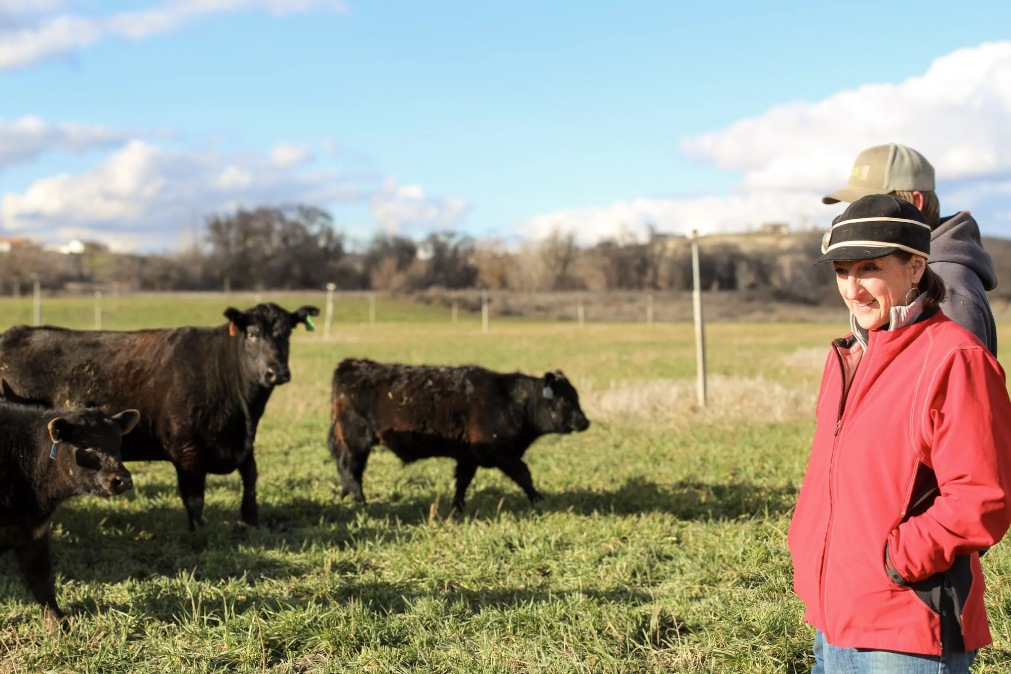 A woman in a red jacket standing in a field on a local family farm with two black calves and a larger black cow nearby on a sunny day with a blue sky and scattered clouds.