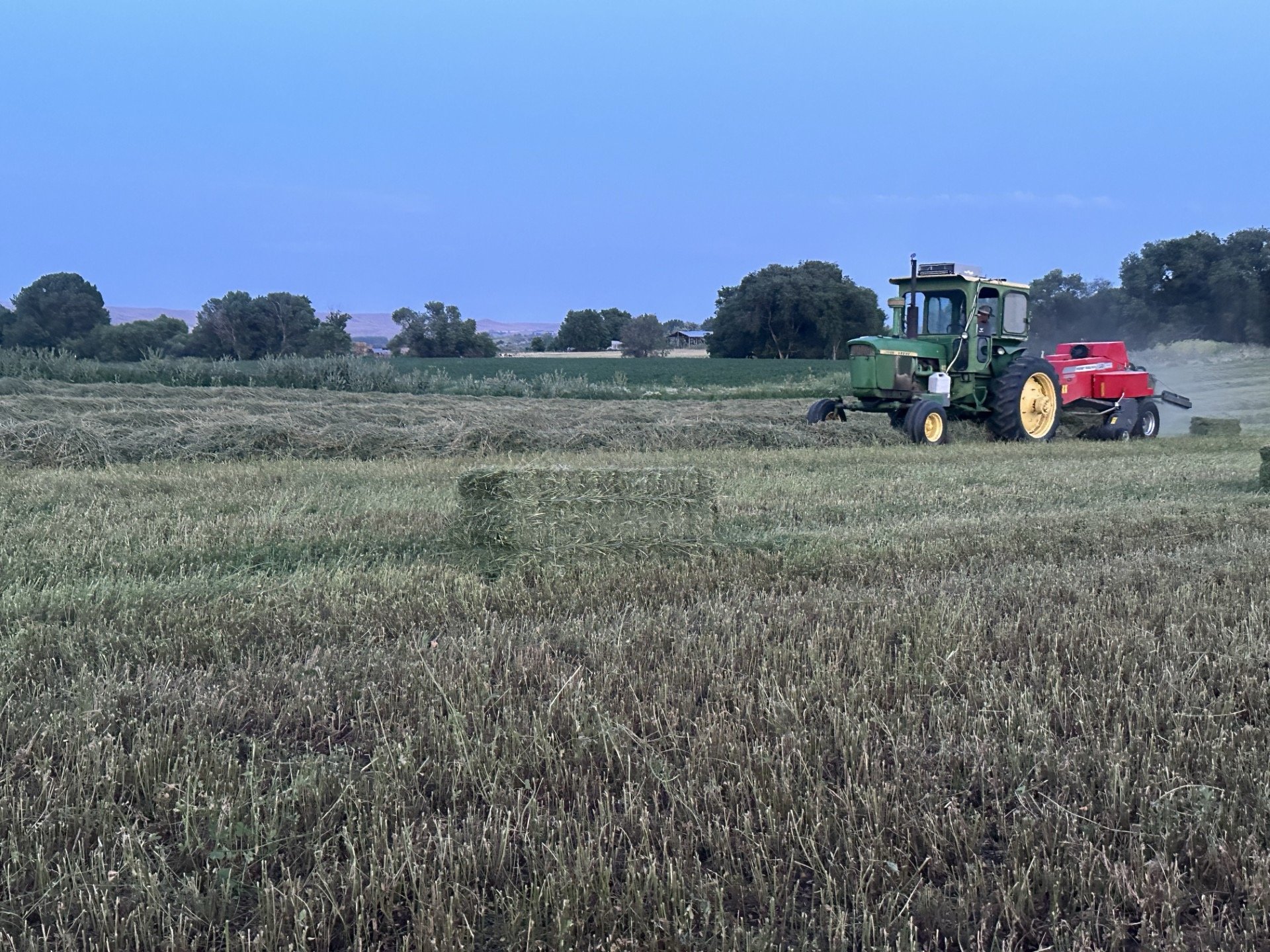 A green tractor with a red attached mower is cutting hay for cattle in a large field during daylight int he Boise area. Trees and a blue sky are visible in the background.