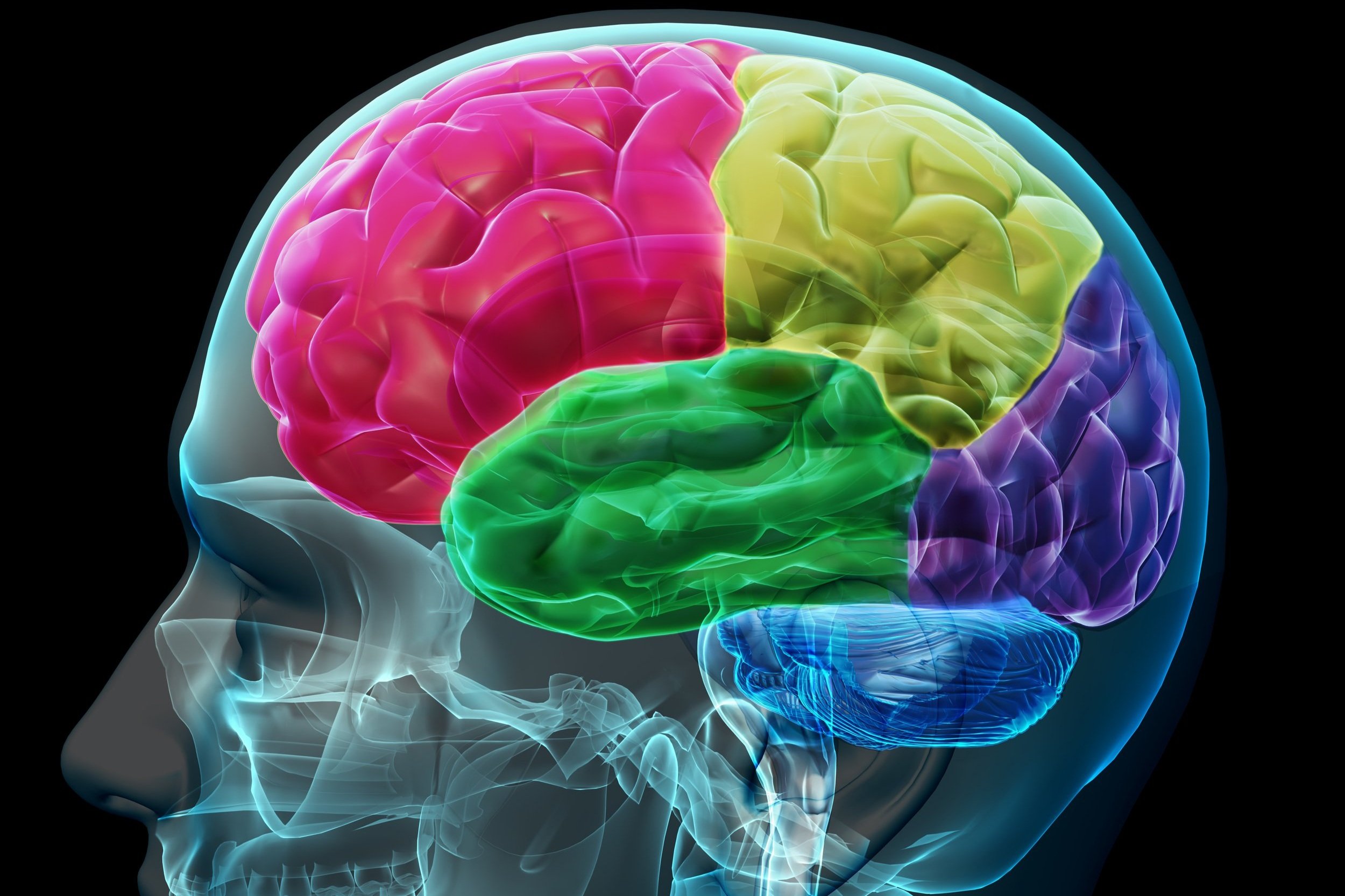 Percée scientifique sur les tumeurs cérébrales