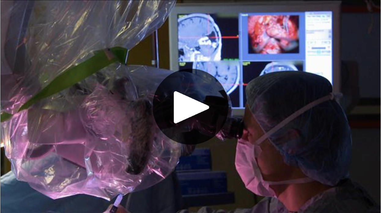 Découverte-tv-show - Sonde et cerveau