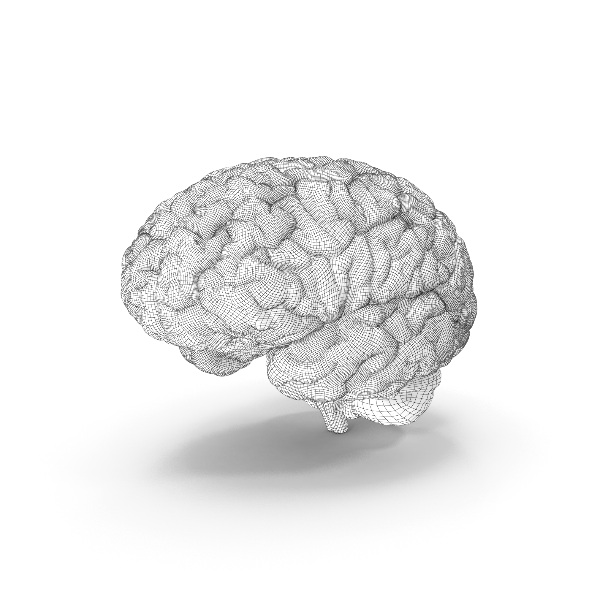Une sonde prometteuse mise au point à Montréal