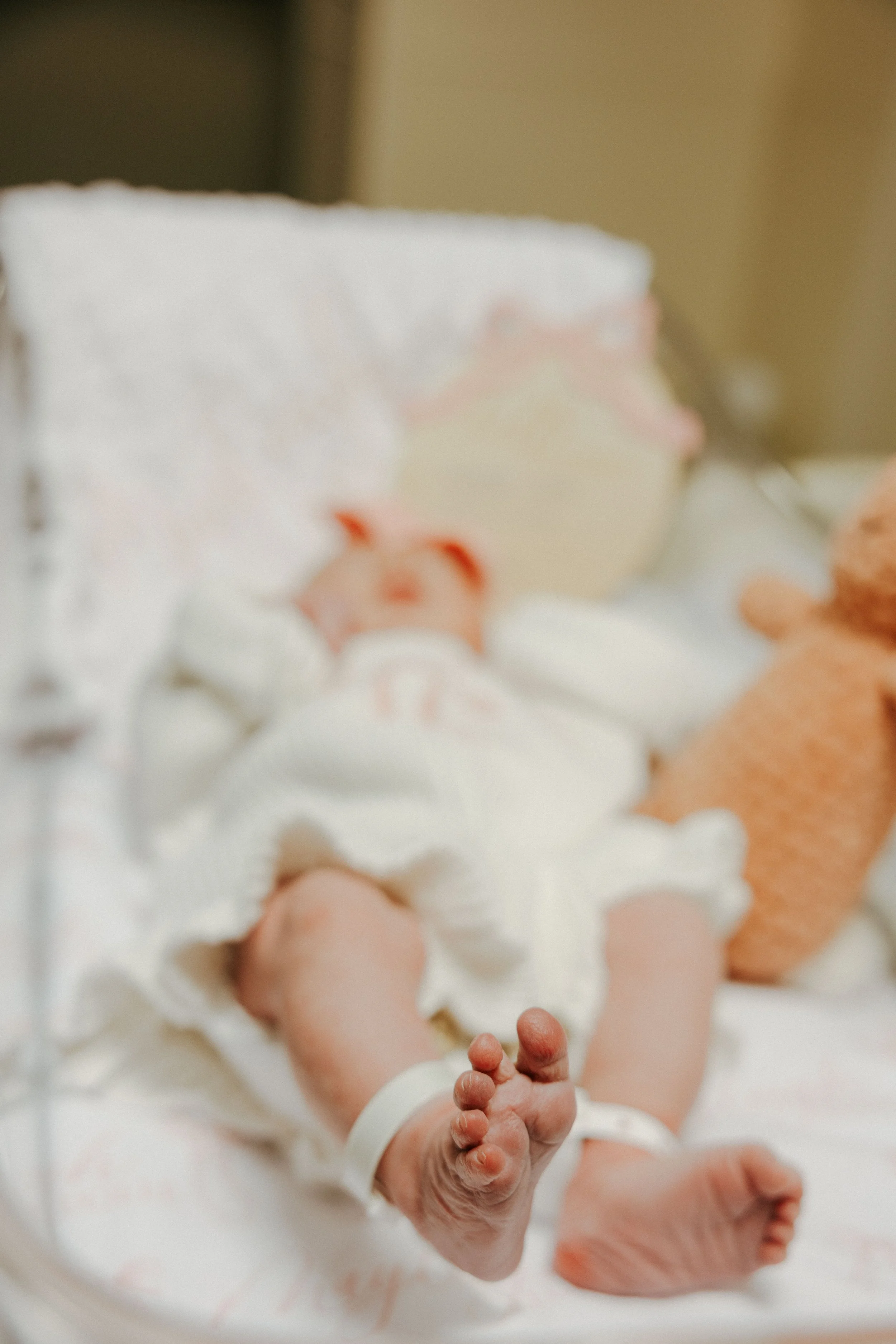 MAYLEIGH FRESH 48-69.jpg