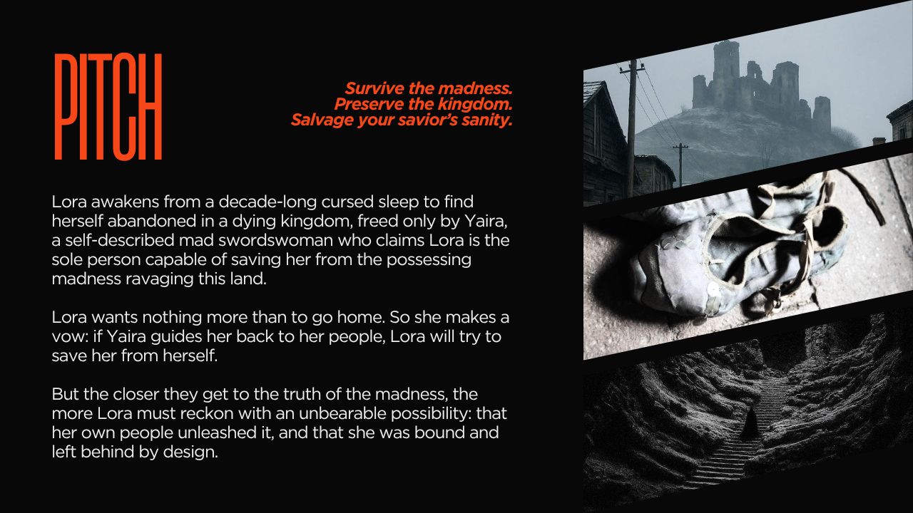 A promotional graphic for 'Pitch' featuring a dark background with red and white text. The text includes a tagline about surviving madness and saving a kingdom. The image contains three photos: a silhouette of a medieval castle on a hill, a worn-out cloth bag, and a mysterious dark tunnel with steps leading into it.