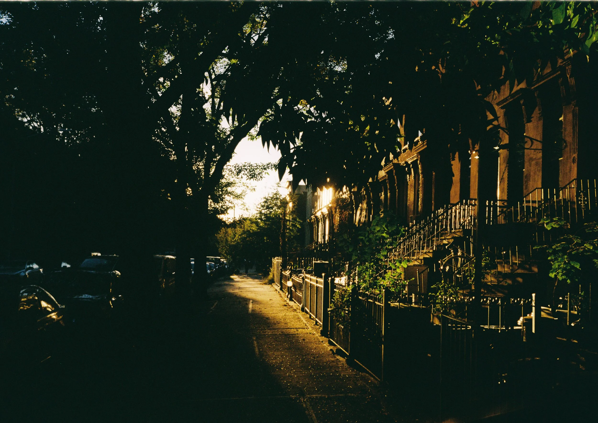 High-contrast street view of brownstones