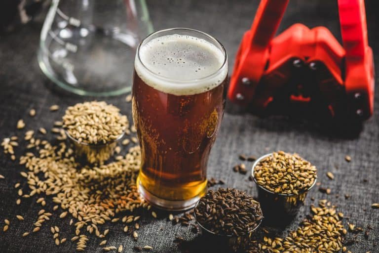 A glass of beer on a table surrounded by scattered barley grains and cups of roasted barley, with a beer brewing machine in the background.