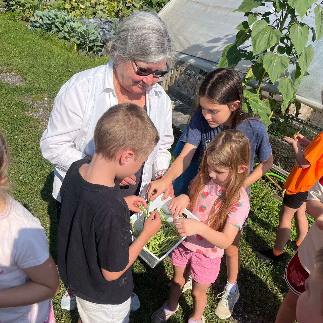 Chelsea Senior Center and Camp Gabika Cultivate Connections Across Generations