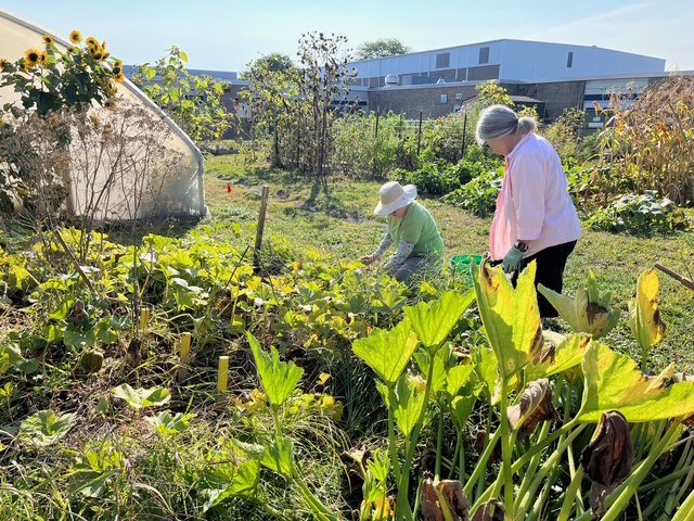 Chelsea Senior Center Intergenerational Garden Gardeners