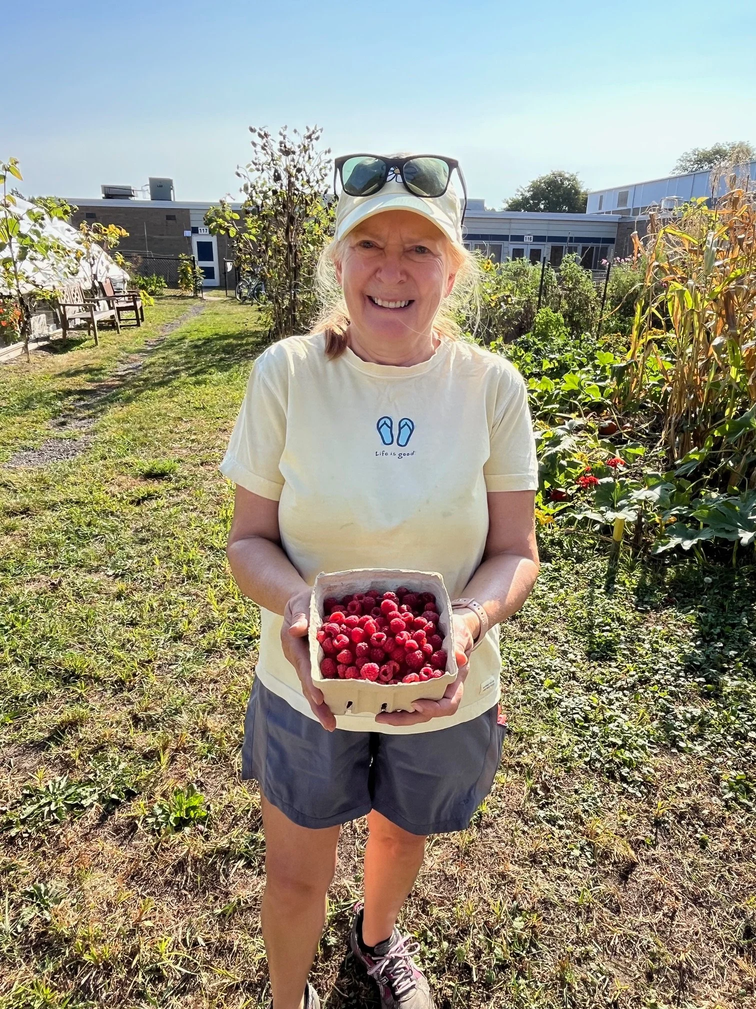 Chelsea Senior Center Intergenerational Garden Gardener
