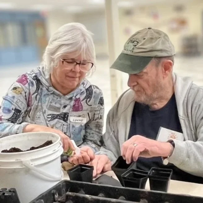 Chelsea Senior Center Ease the Day Volunteer in the garden