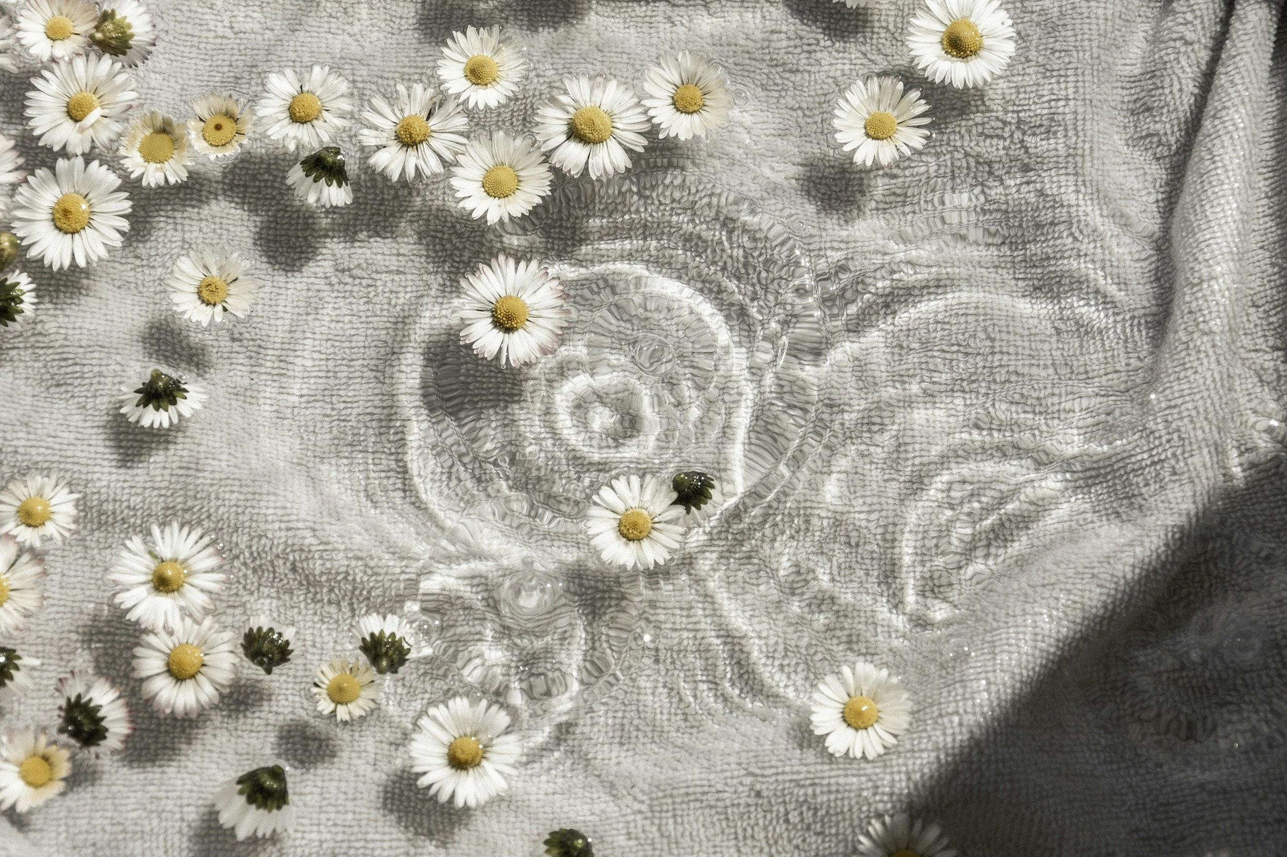 A glass of water with ripples on the surface is placed on a textured piece of fabric. Several daisies with white petals and yellow centers are scattered around the glass, some floating on the water.