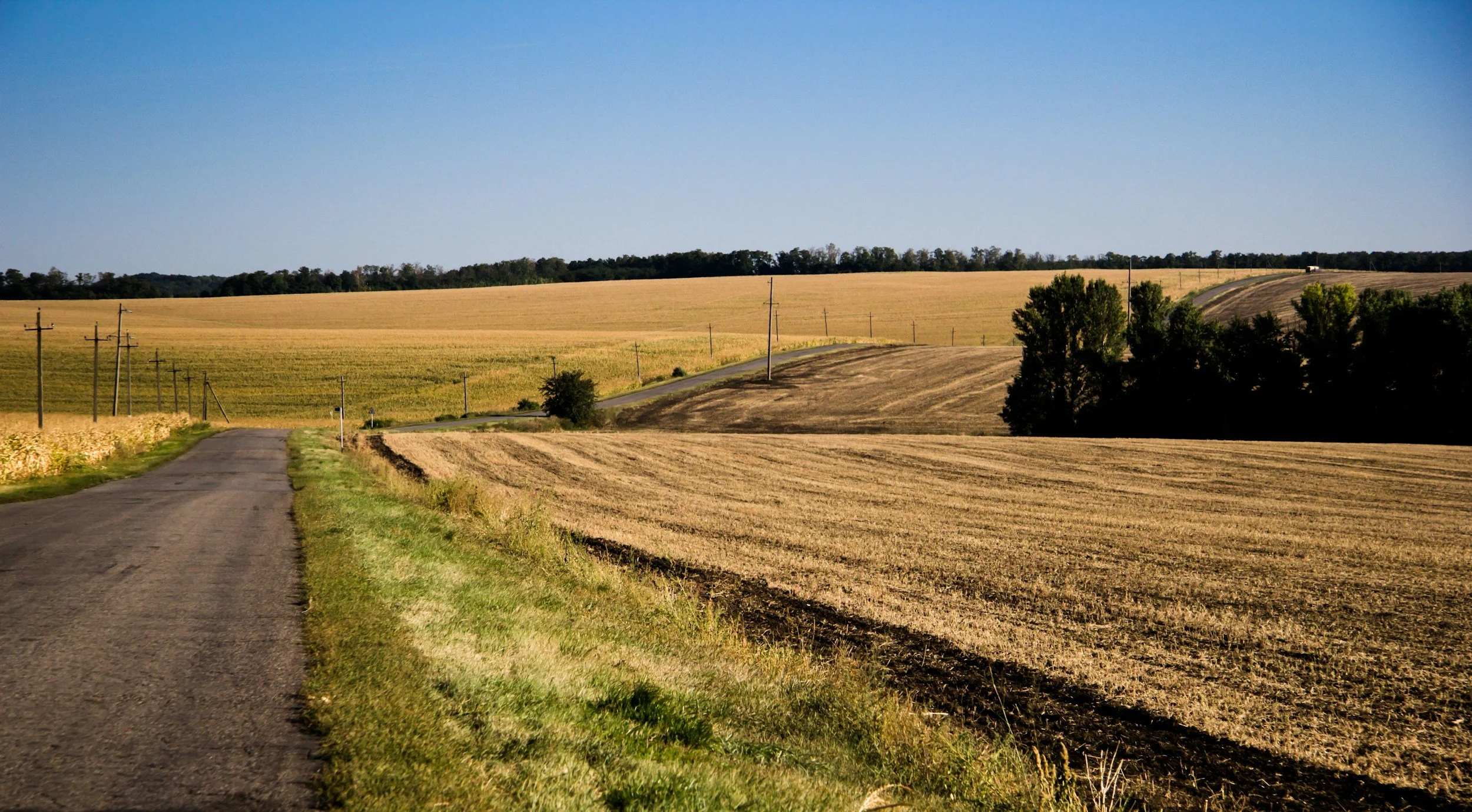 Rural landscape with a dirt road, rolling fields, power lines, trees, and a clear blue sky.