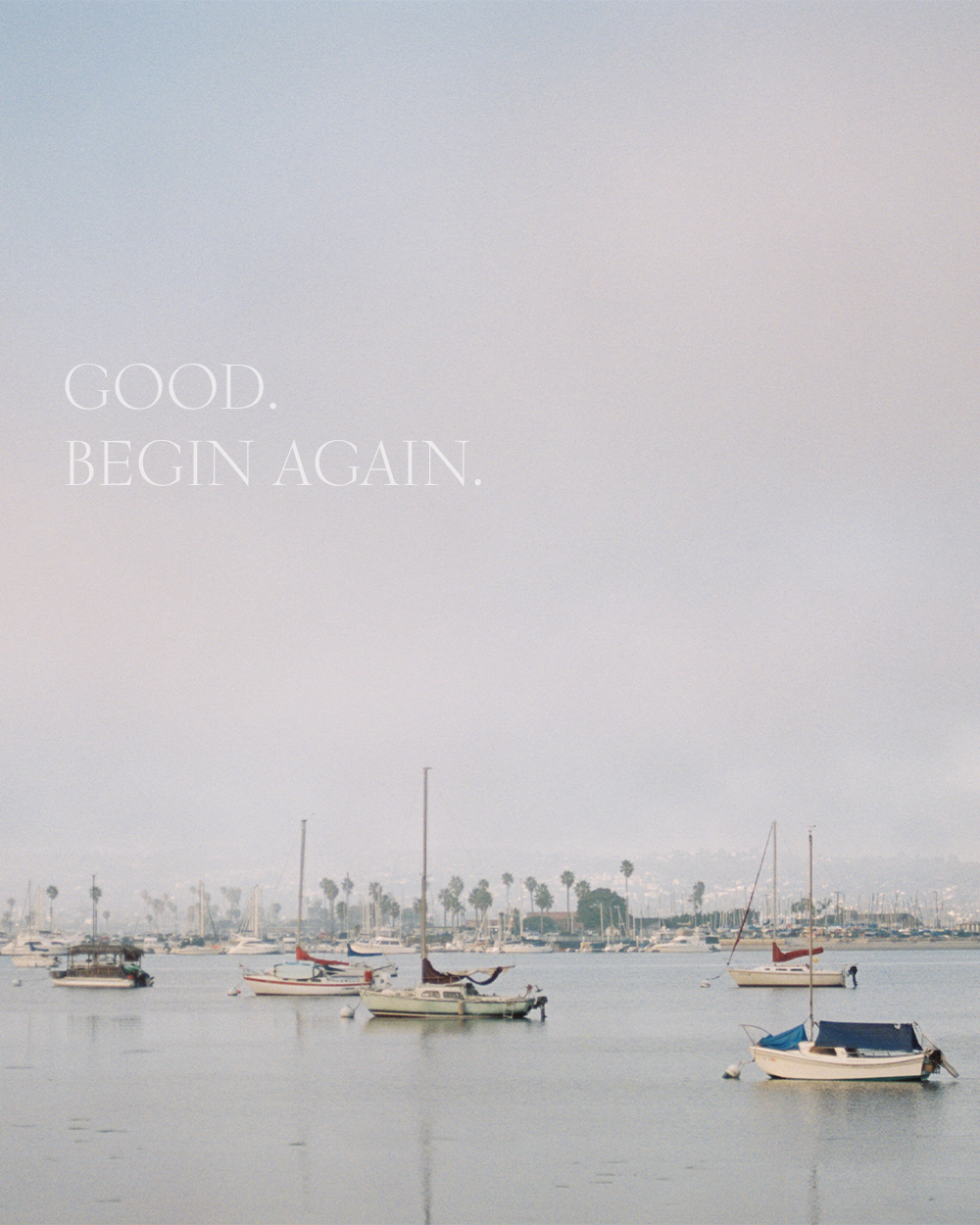 Everyone Was Photographing the Airstream 