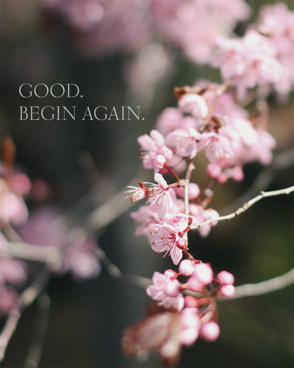 Letting go of the Pink Princess Castle