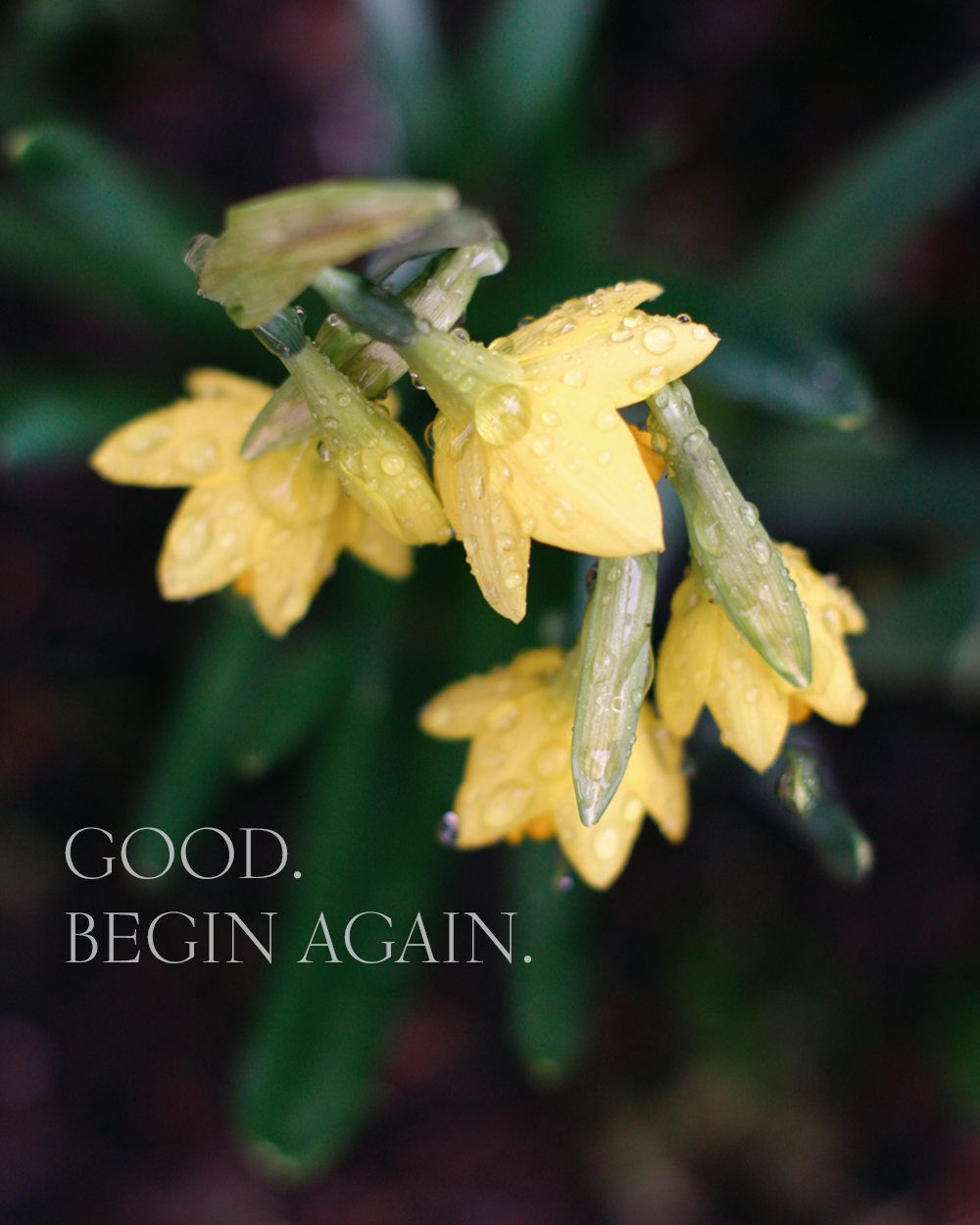 The answer I didn’t want to hear