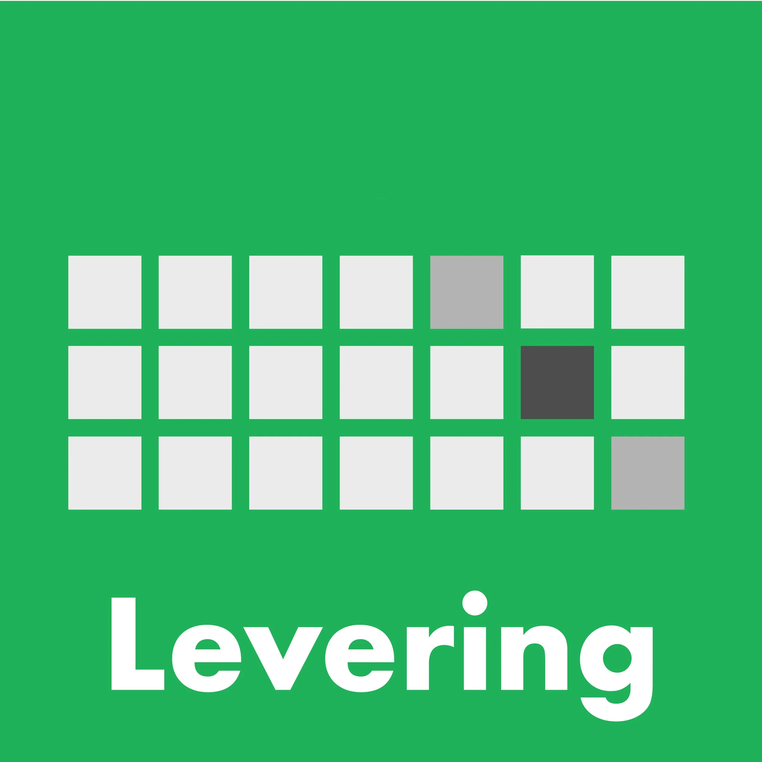 A green background with a white grid of squares, some shaded gray, and the word 'Levering' in bold white letters at the bottom.