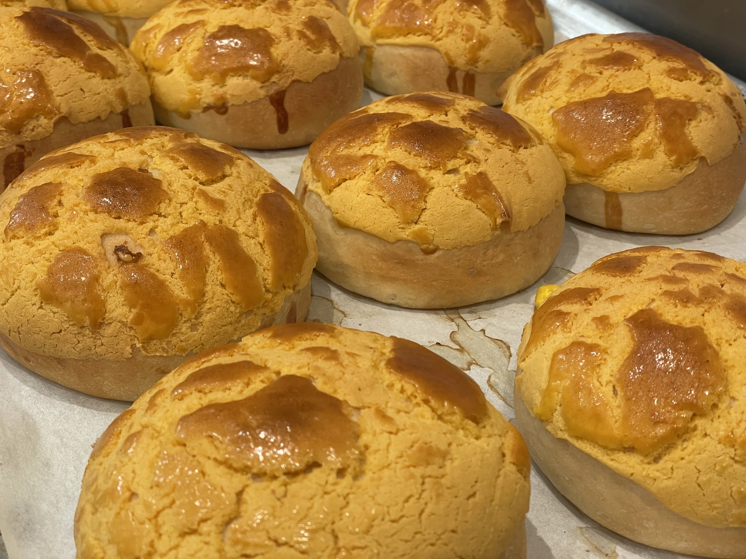 Close-up of freshly baked cheese bread rolls with melted cheese on top.