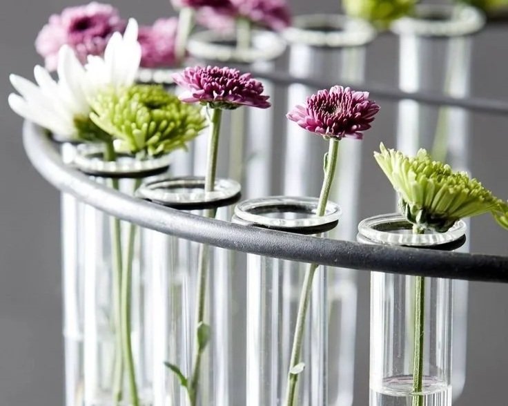 Interpreting Your Bloodwork: Reference Range vs Optimal Range 