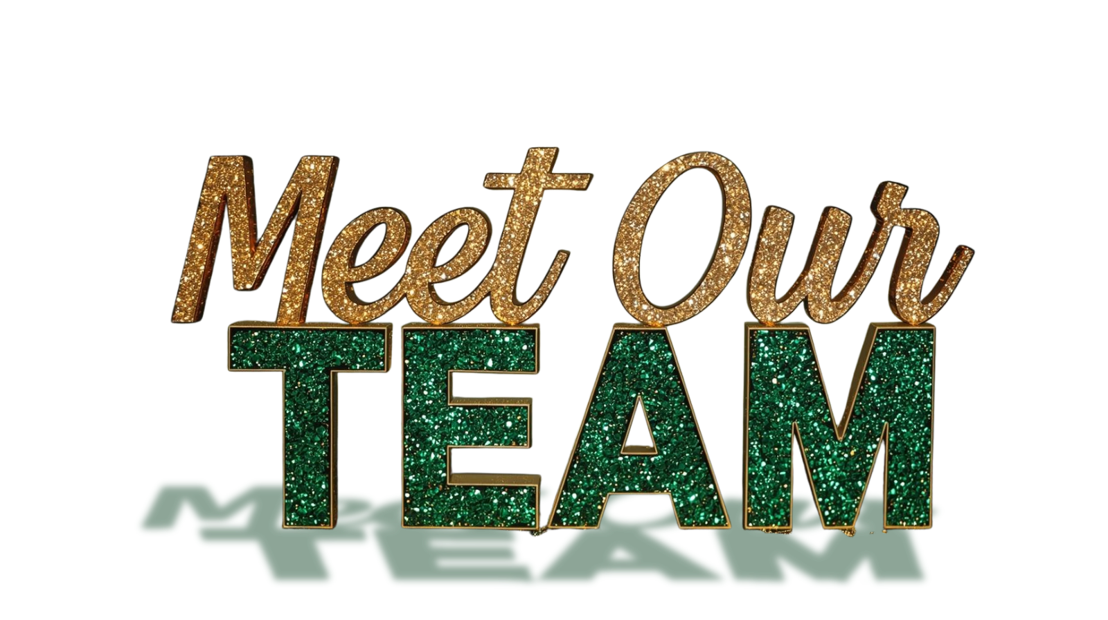 Colorful glittery text saying "Meet Our Team" on a black background.