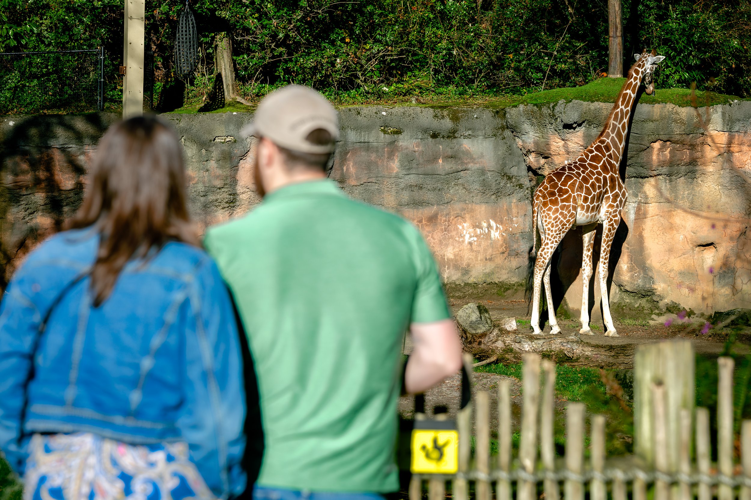 121325-joseyandzach-proposal-oregonzoo0485-Edit.jpg