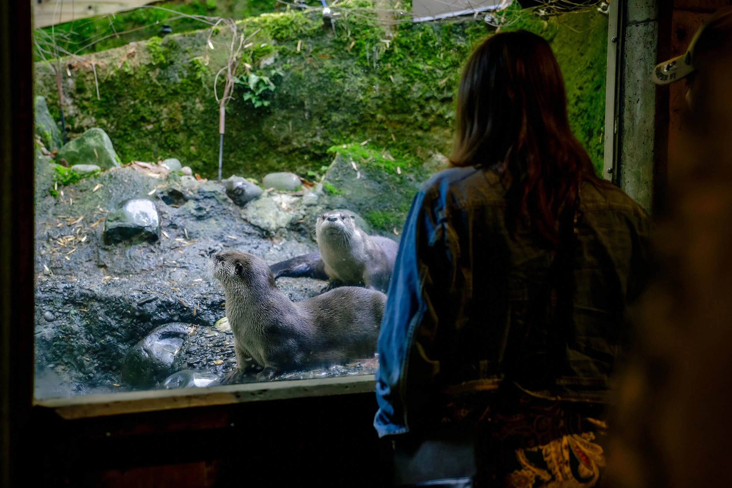 121325-joseyandzach-proposal-oregonzoo0118-Edit.jpg