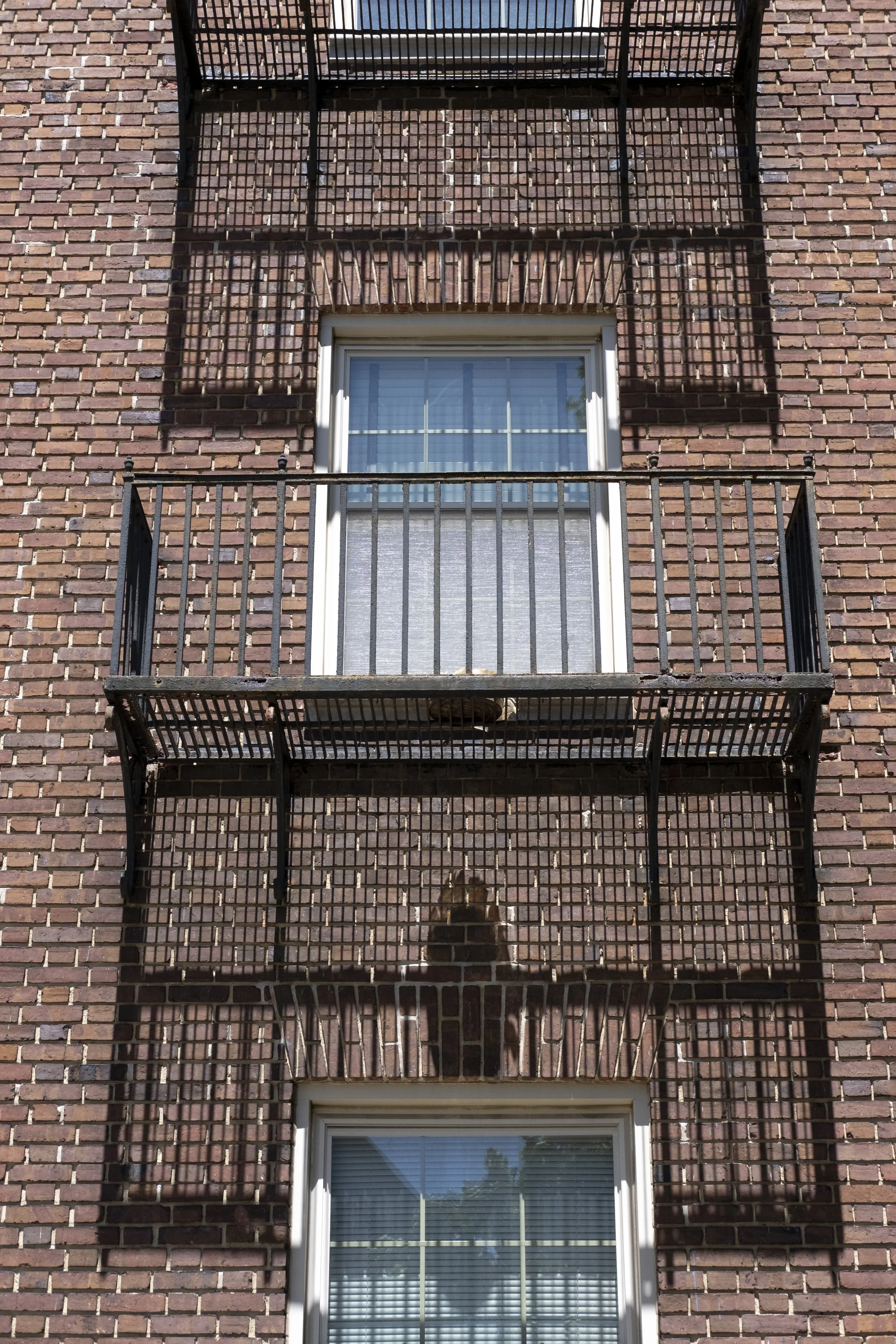 DSCF5955.jpg