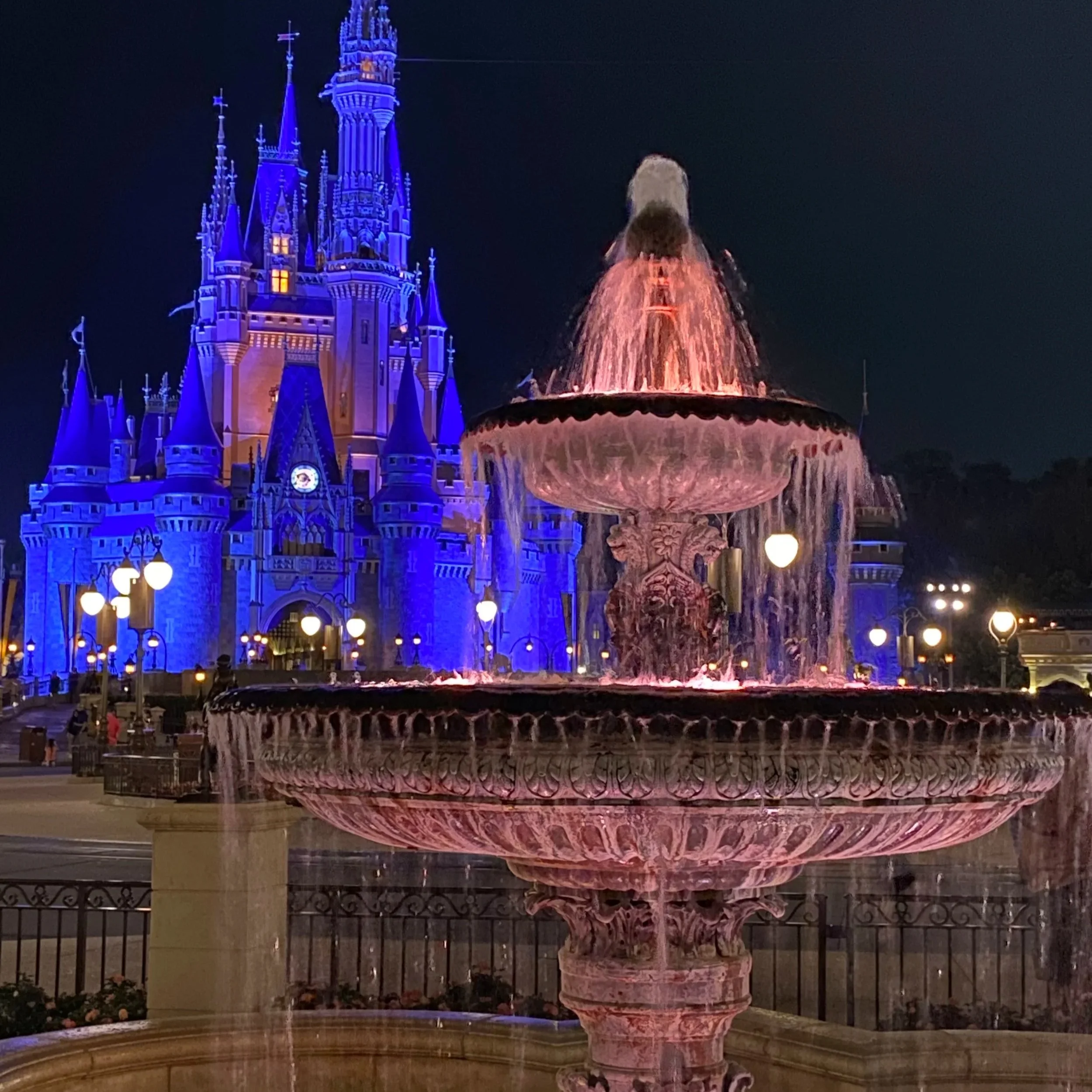 Walt Disney World Castle