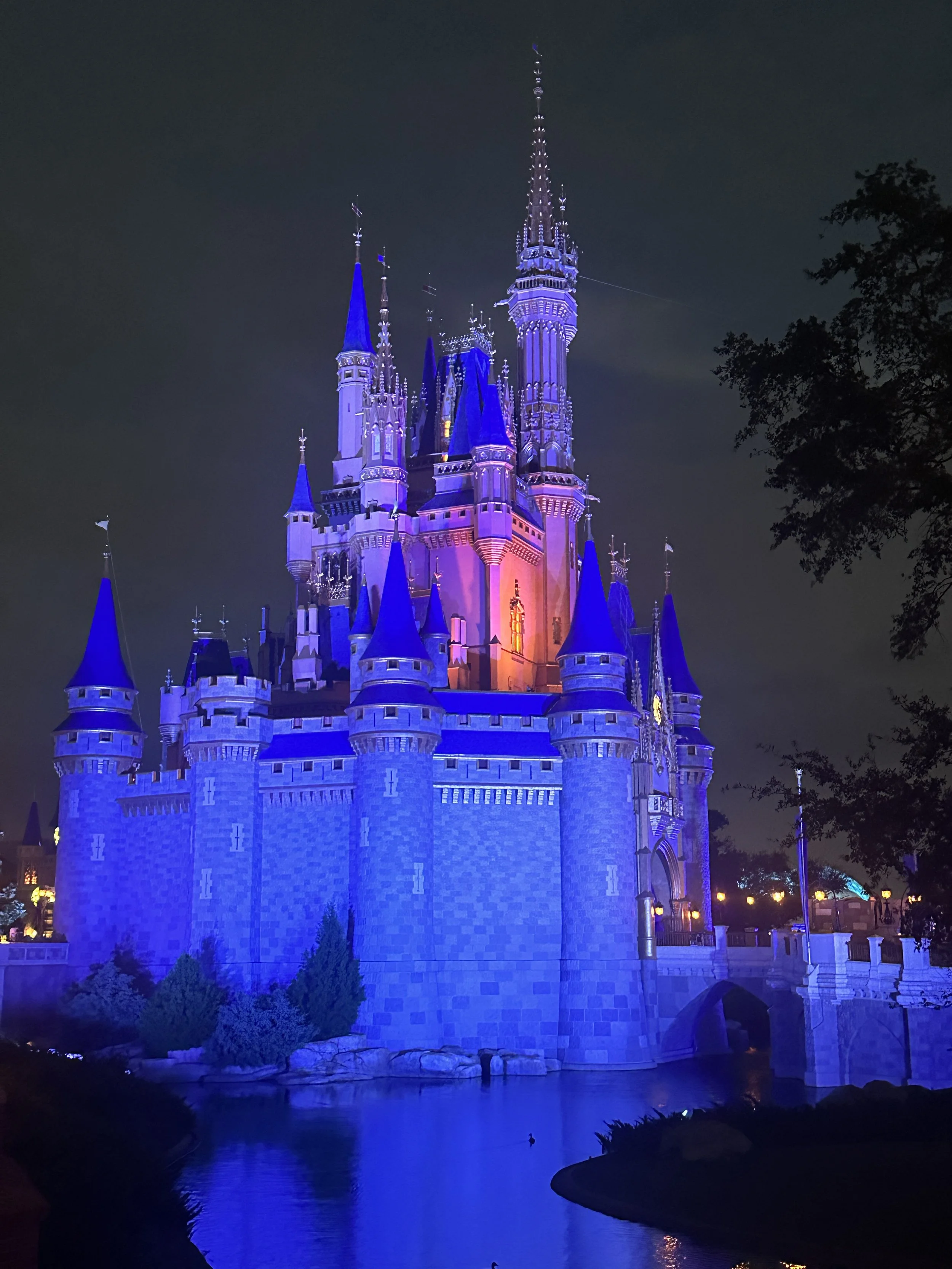 Walt Disney World Night
