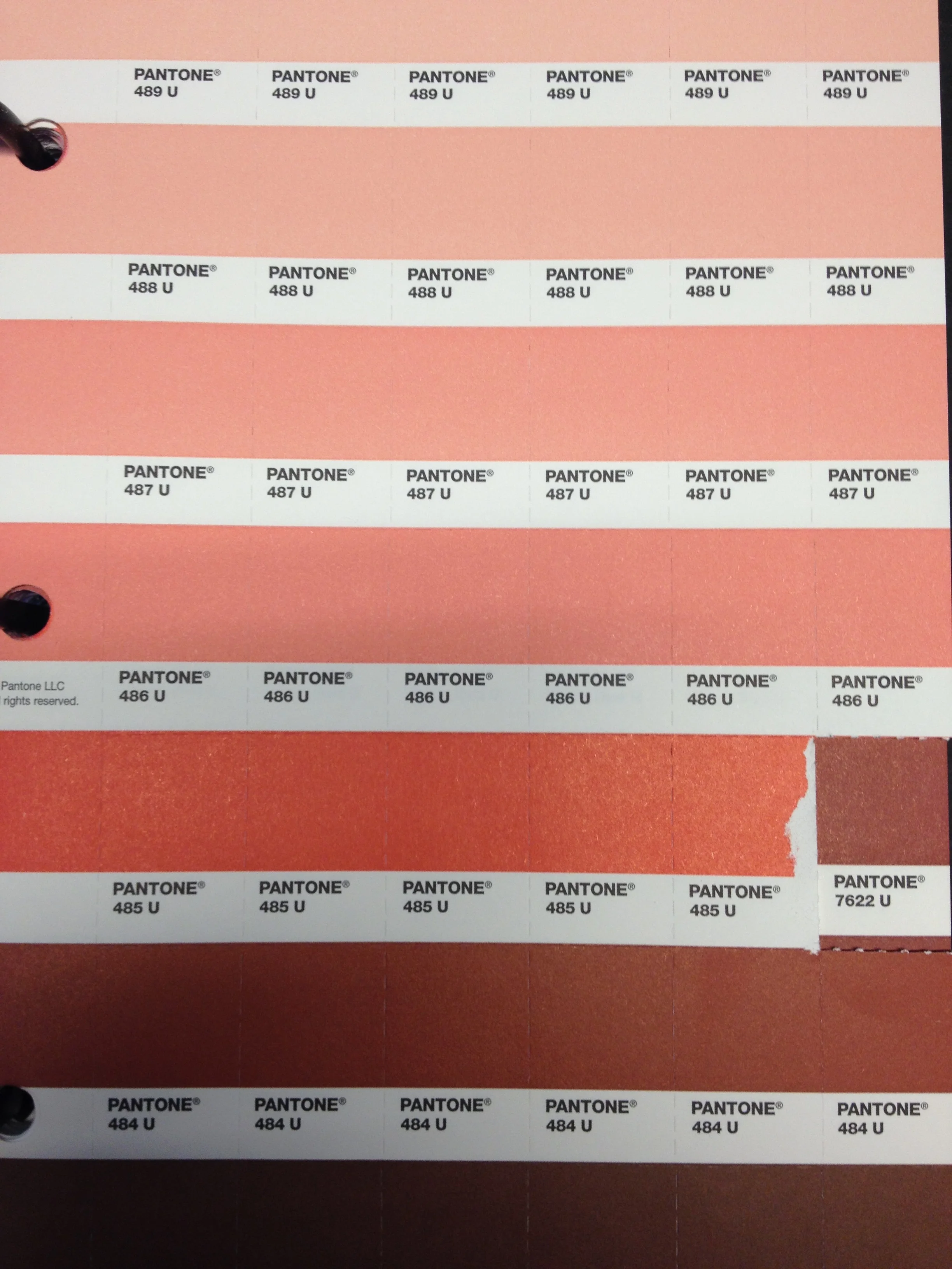 Color palette swatch sheet featuring various rows of Pantone colors including shades of pink, red, and brown, with each color's Pantone code labeled.