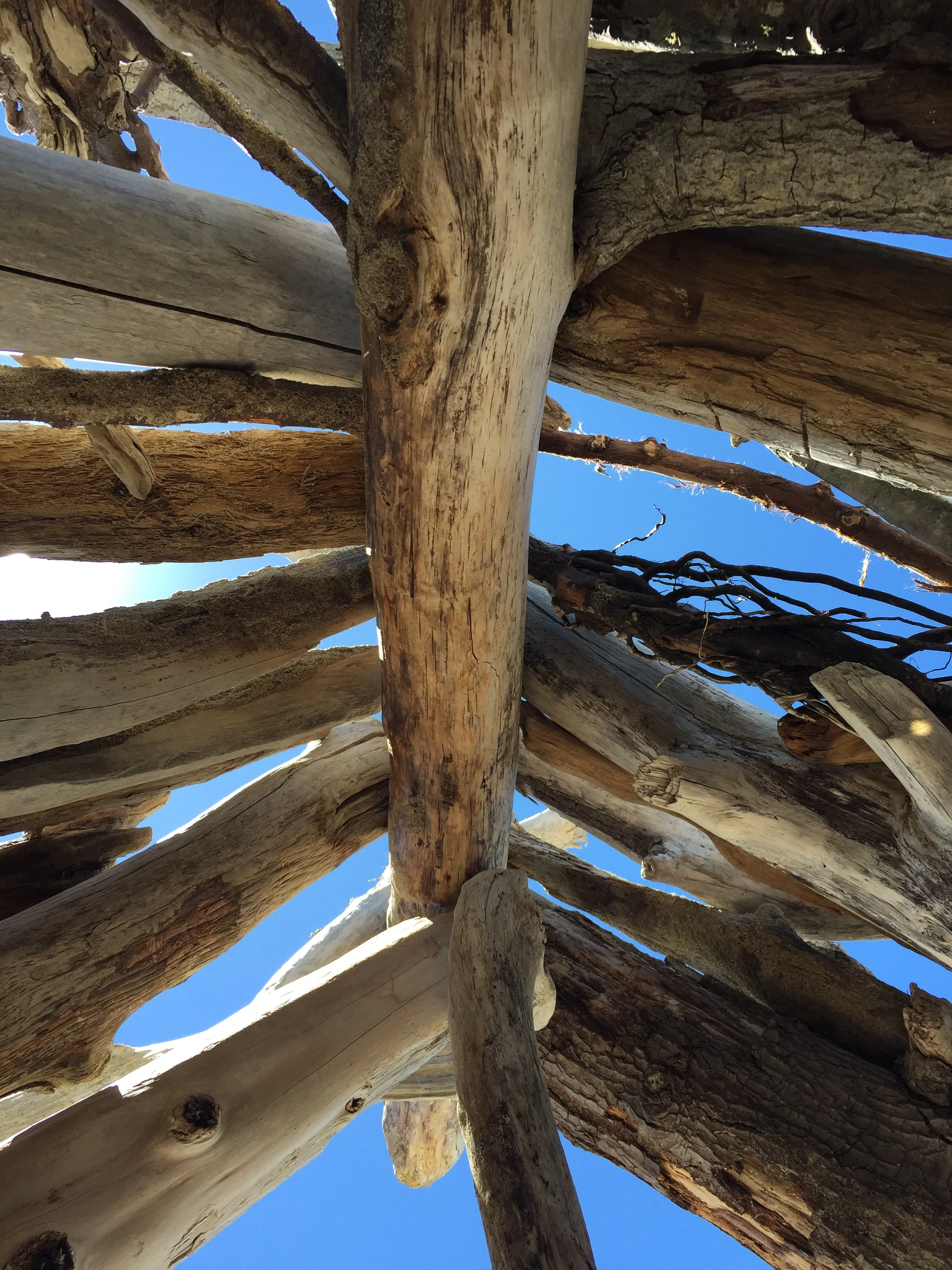 Looking up at a pile of weathered driftwood logs arranged against the sky.
