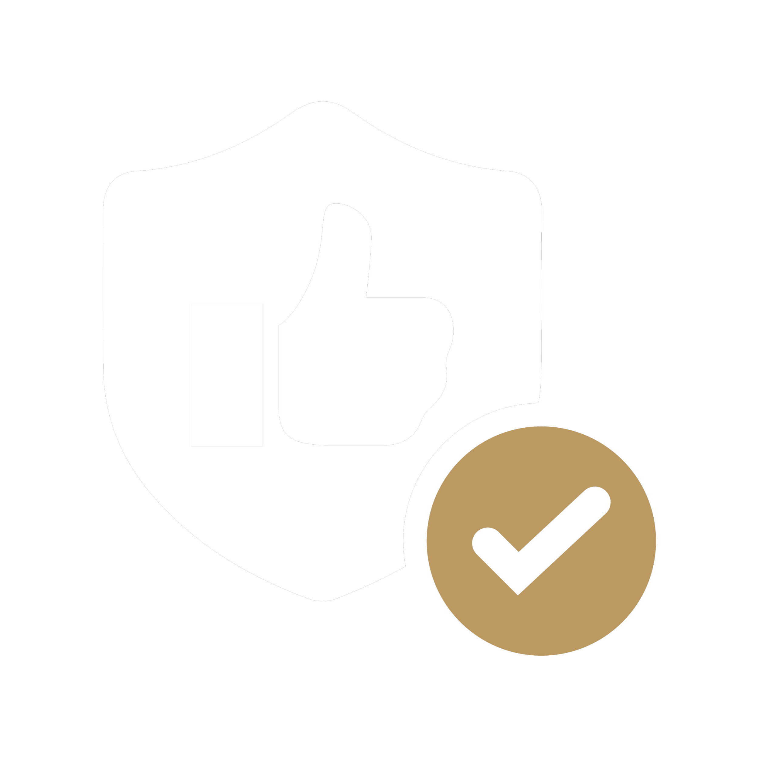 Security shield with a thumbs-up icon in the center and a checkmark badge at the bottom right corner.