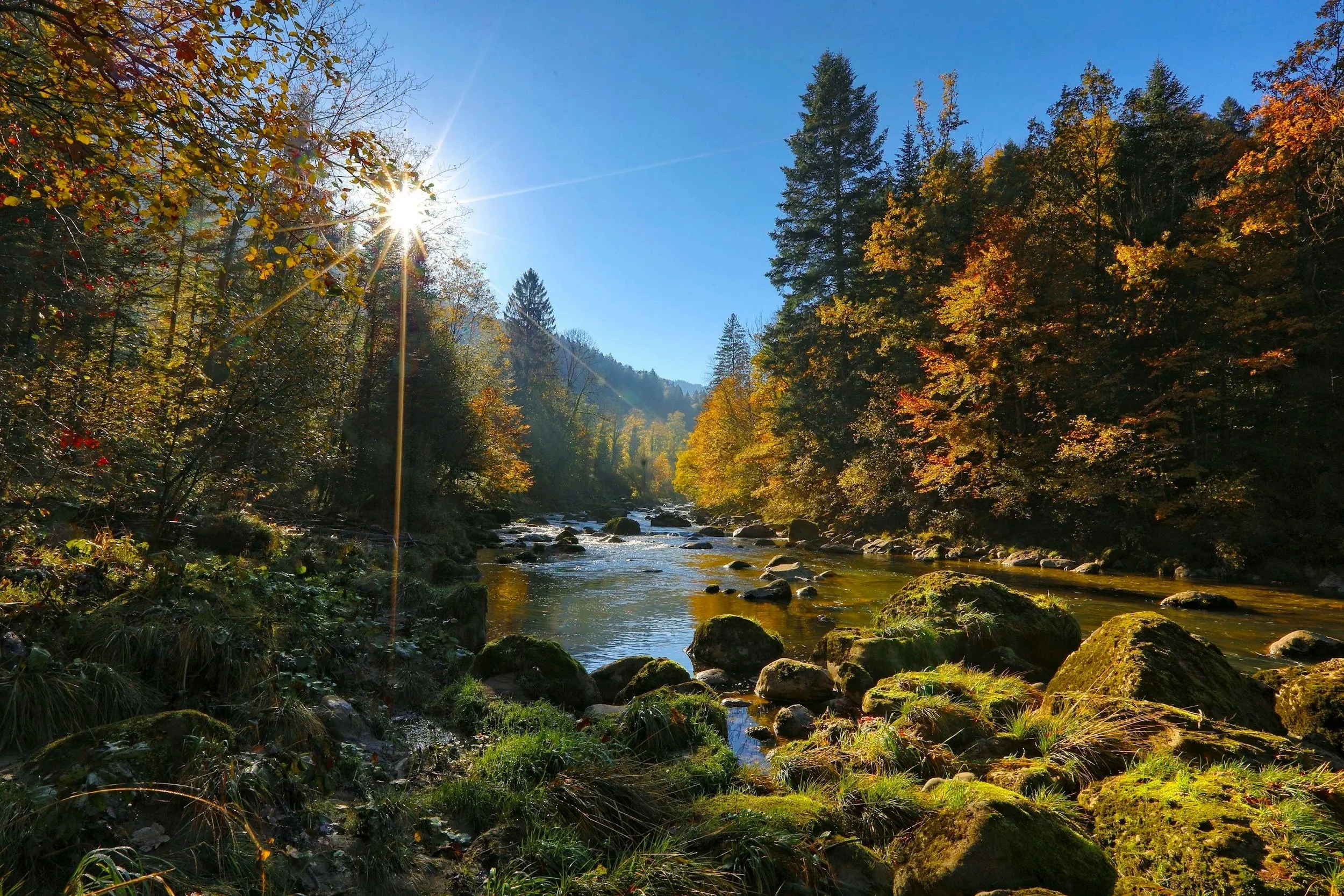 A scenic view of a forested river with sunlight shining through the trees on a clear day in autumn.