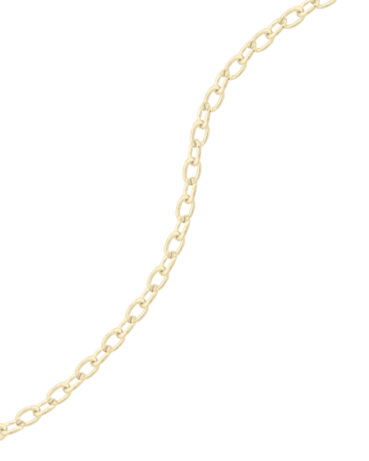 A close-up of a gold-colored chain.