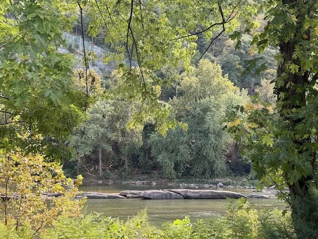 Shenandoah River view through the trees.jpeg