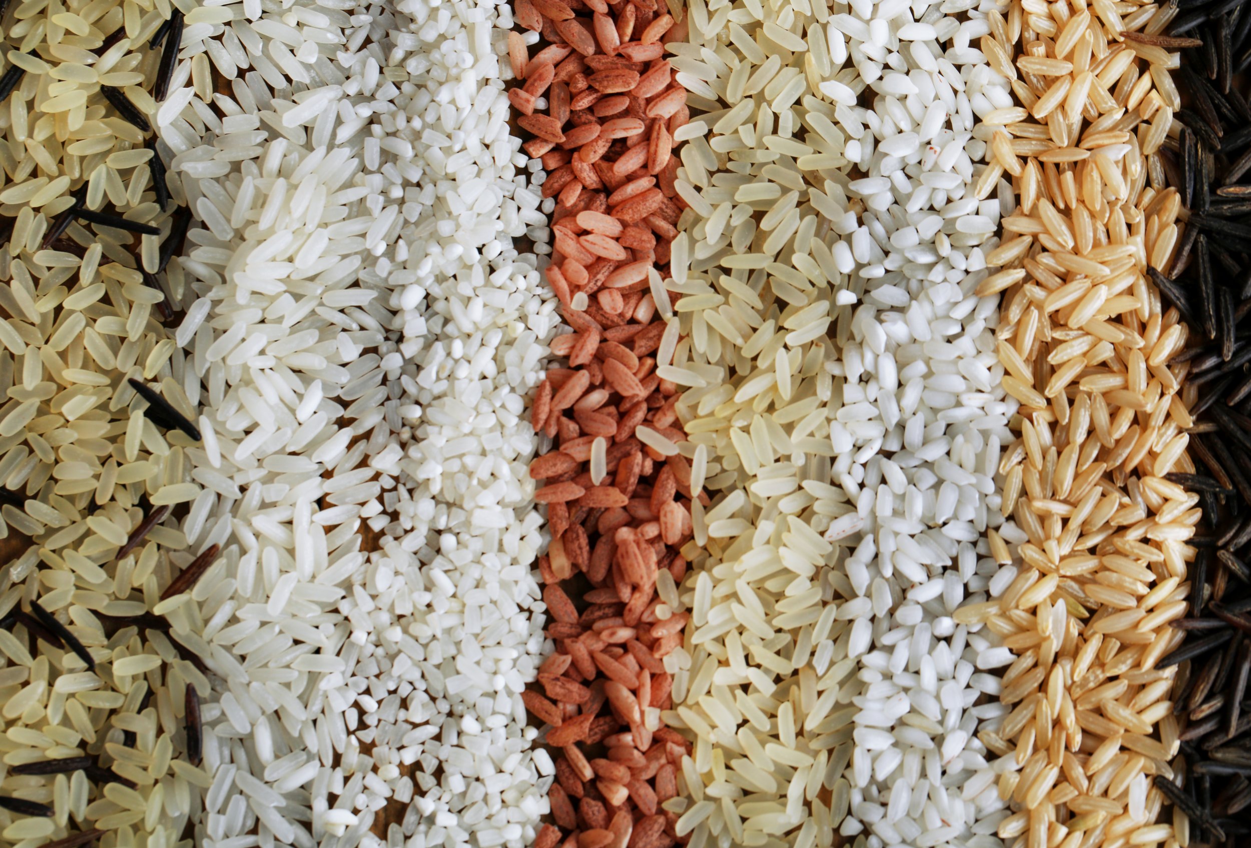 different-types-rice-close-up.jpg