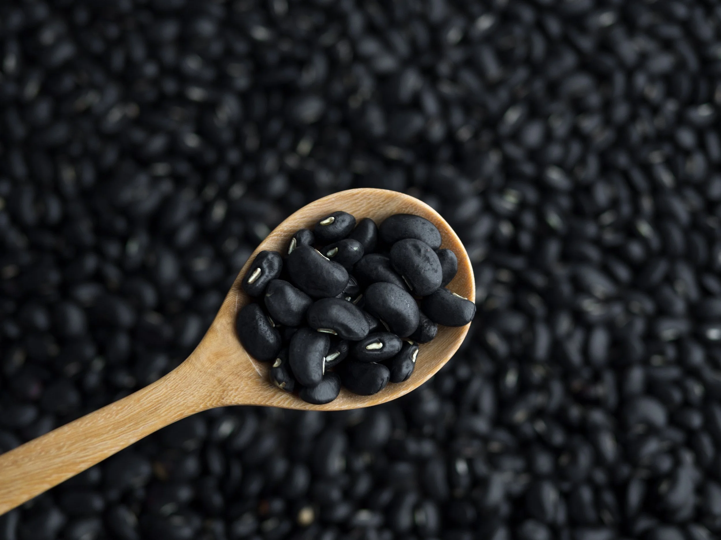 high-angle-view-coffee-beans-table copy.jpg