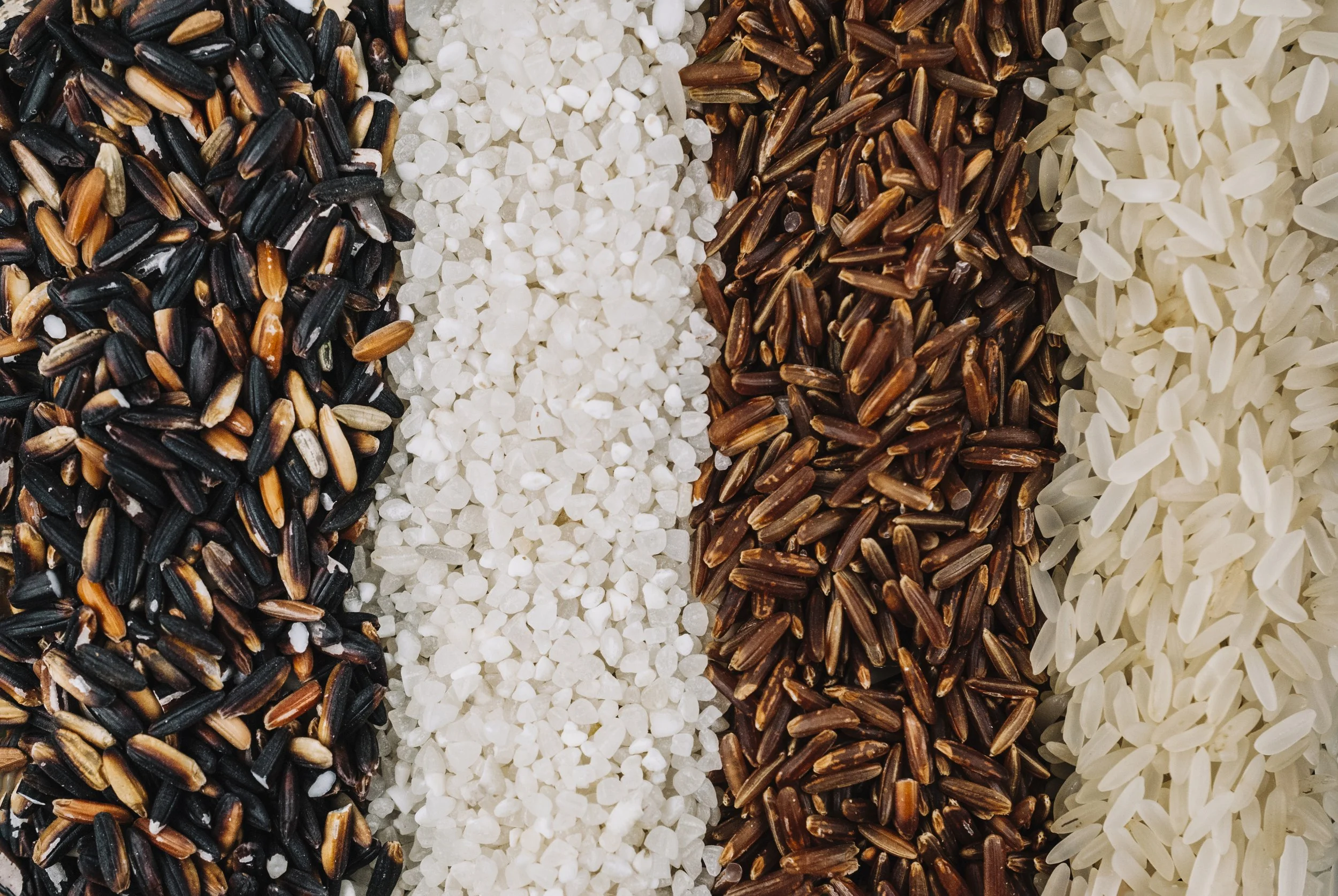 lines-assorted-rice.jpg