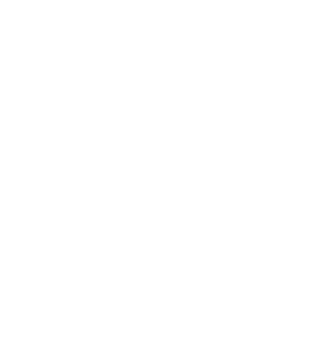 Peruridesigncompany-logo.png
