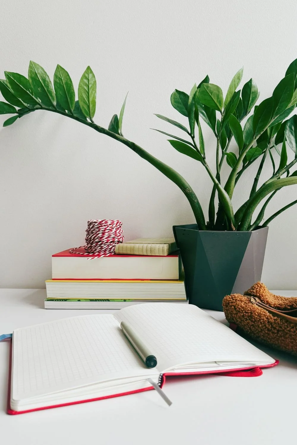 A desk with an open notebook and a pen, a stack of books, a small notebook, a spool of red and white thread, a bag with a zipper, and a large green potted plant with broad leaves against a plain white wall.