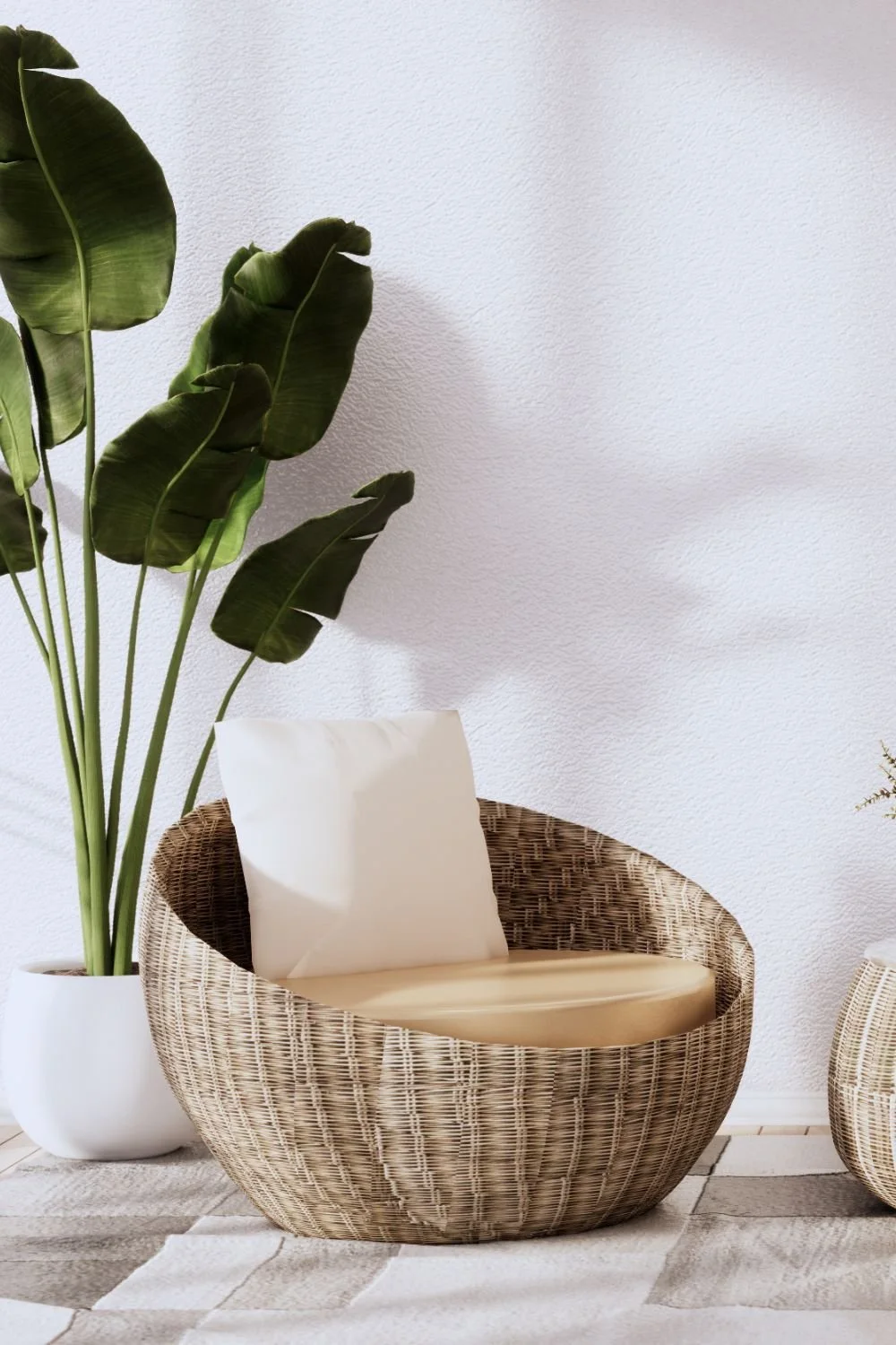 Interior space with a large potted plant, a wicker chair with a light cushion, a white pillow, and a small woven basket.