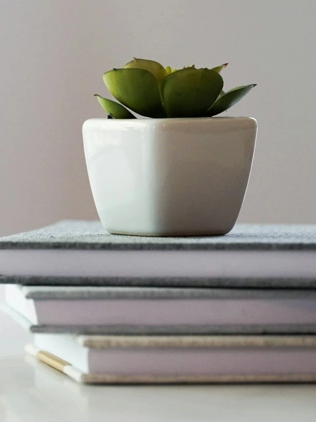 A small green succulent plant in a white square pot, placed on top of a stack of books on a white surface against a plain, light-colored background.