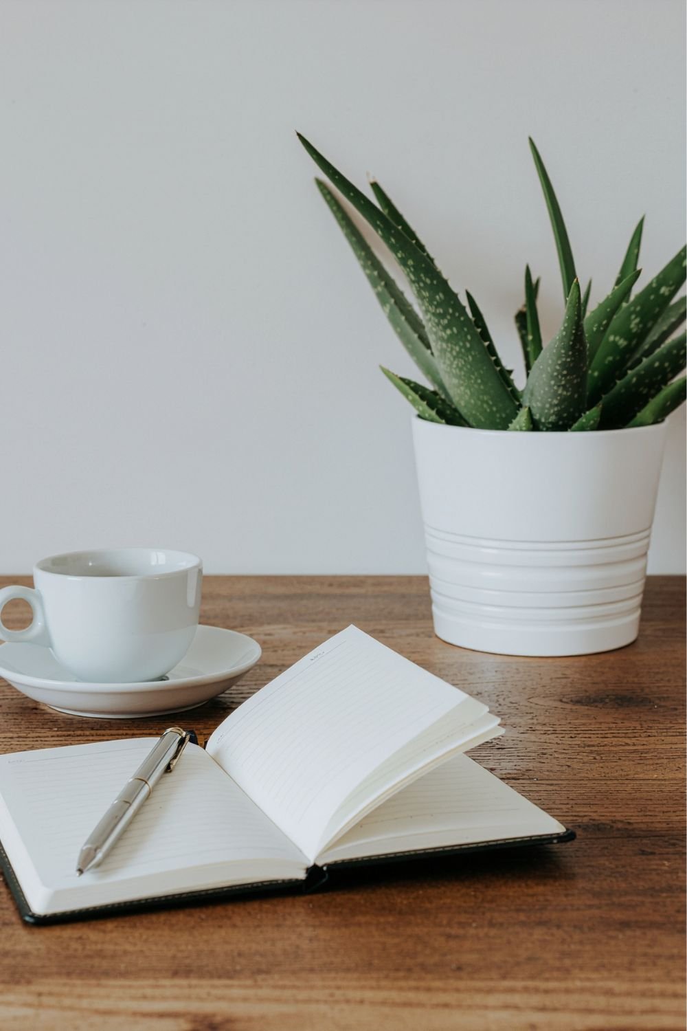 A wooden table with an open notebook and a silver pen, a white cup on a saucer, and a large potted aloe vera plant against a plain light background.