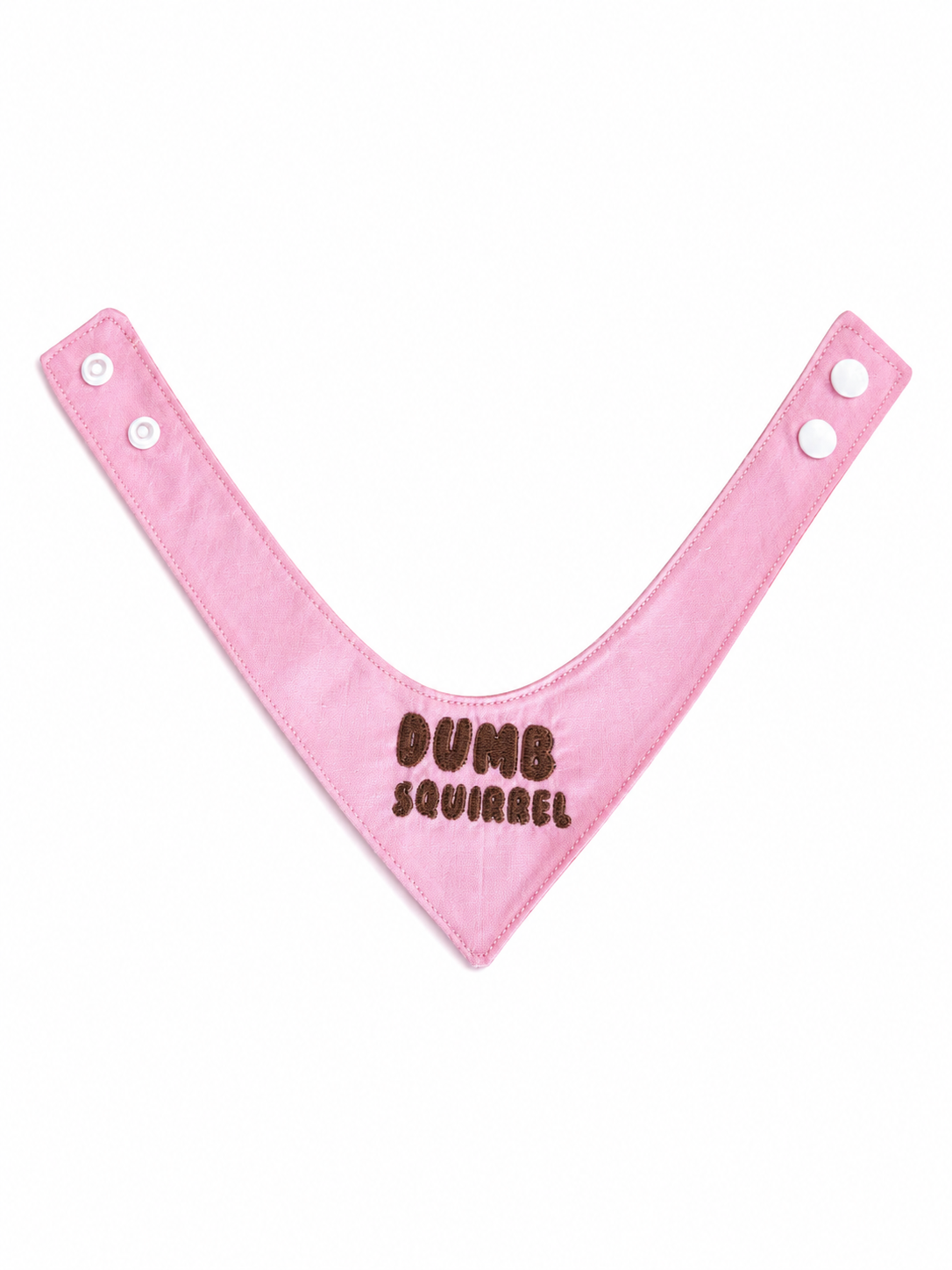 Custom Cat Bandana